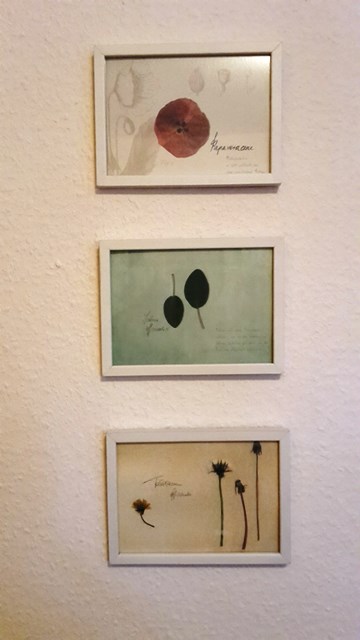 Praxis 1 verkleinert